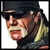 Hulk Hogan 2010